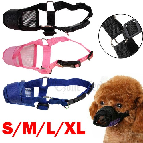 Dog muzzle mouth - mouth, cover