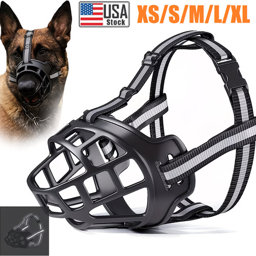 Black large pet dog - large,