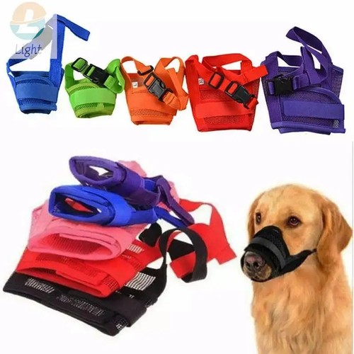 Dog muzzle mouth - dog, anti