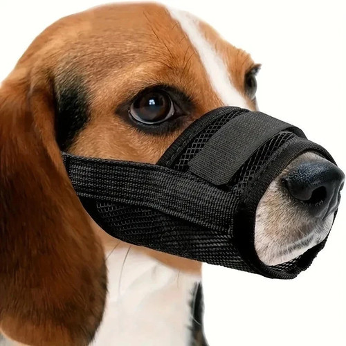 Dog muzzle for medium large - dog,